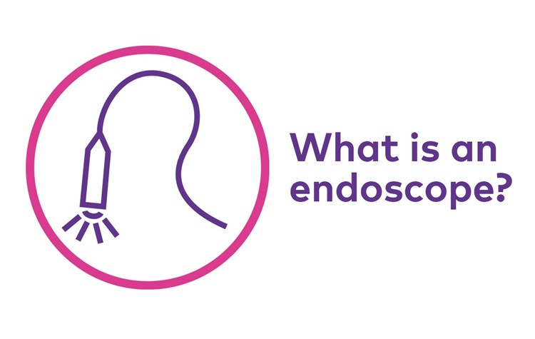 What is an endoscope?