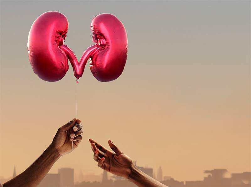 Law on organ donation