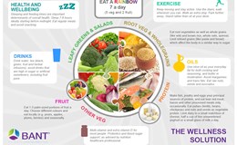 The Wellness Solution Plate