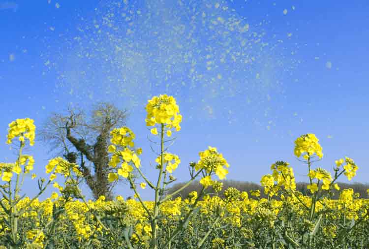 Benenden Hospital Unsung Heroes Awards