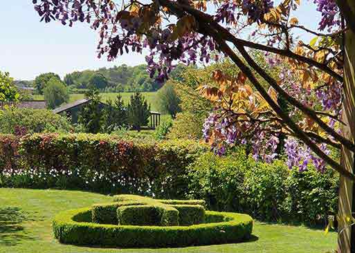 A hay fever survival guide not to be sniffed at