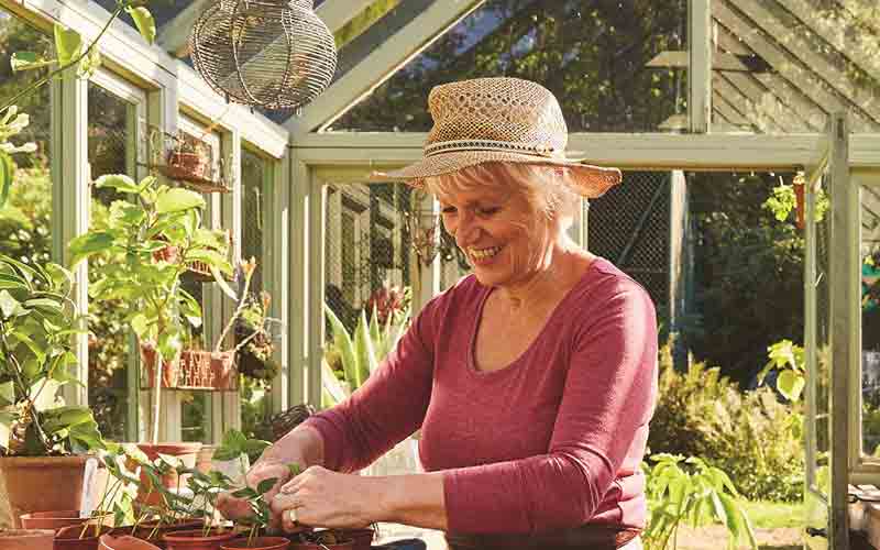 An older lady gardening in a greenhouse