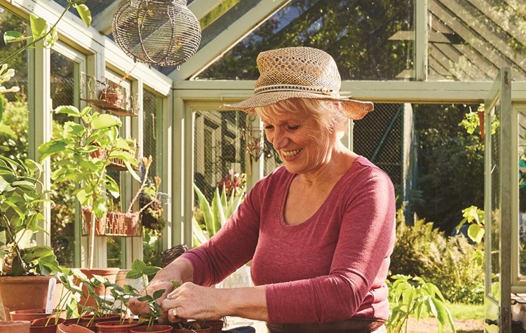 An older lady gardening in a greenhouse