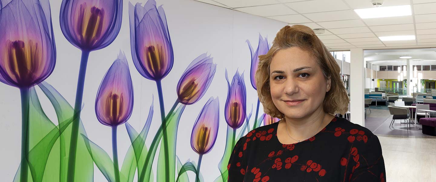 Miss Anahit Zakaryan