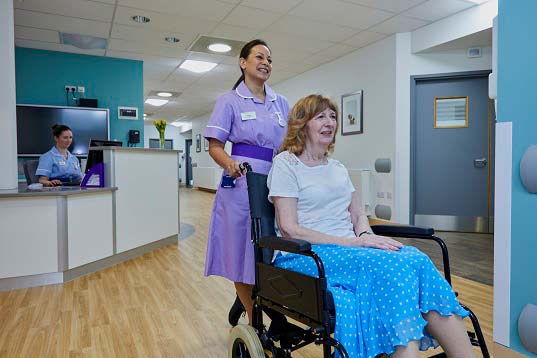 World Health Day 2022