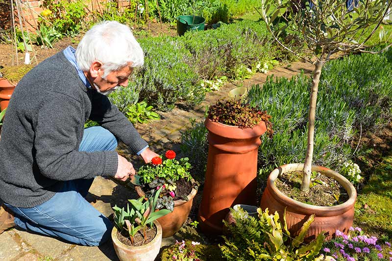 Looking after yourself in the sun