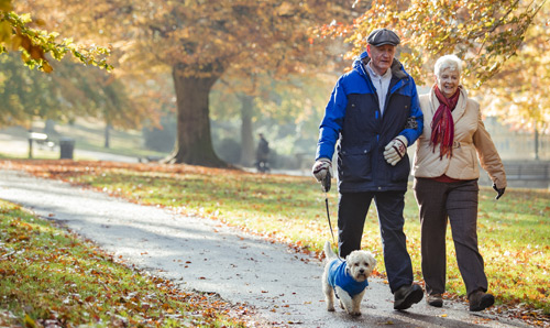 Senior couple are walking their dog through a public park in Autumn.