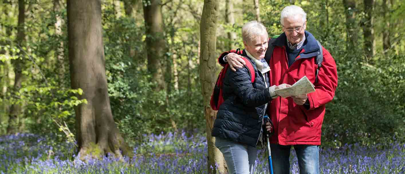Two people walking in the woods