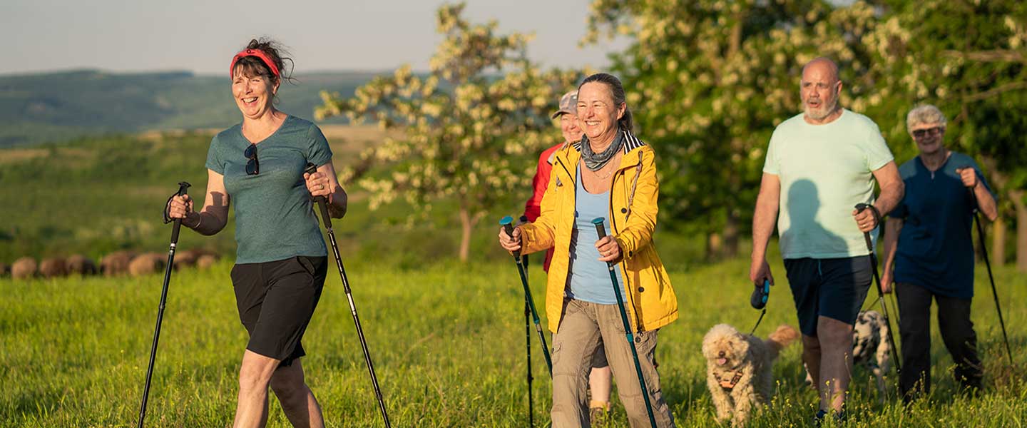 Group of friends walking in the countryside