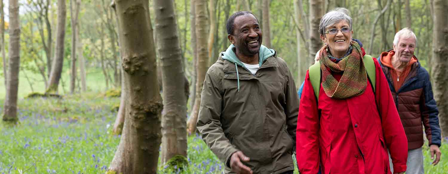 A group of friends walking in a forest with bluebells