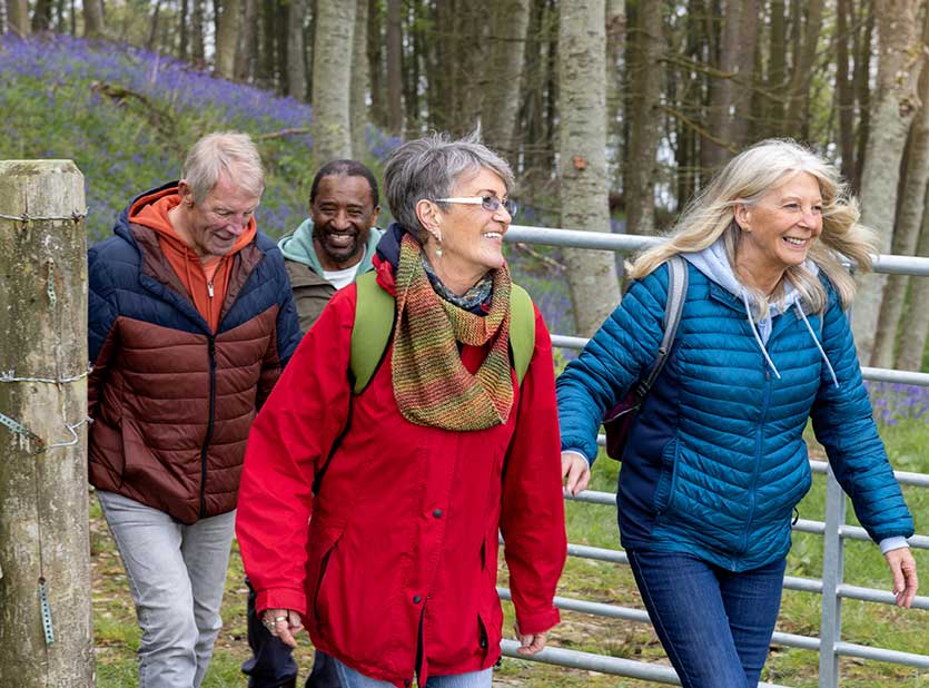 A group of friends walking in the woods