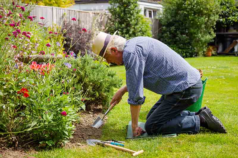 An older man gardening