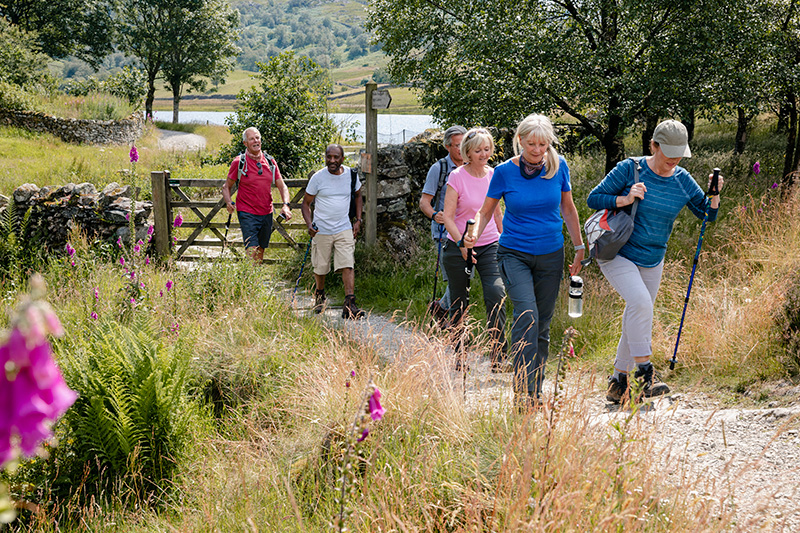 A group of people hiking