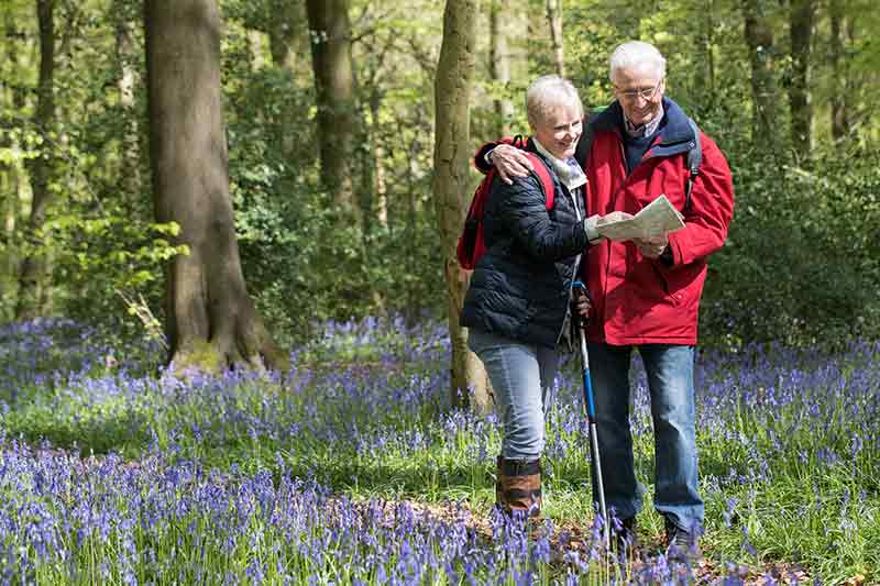 Two people walking in the woods