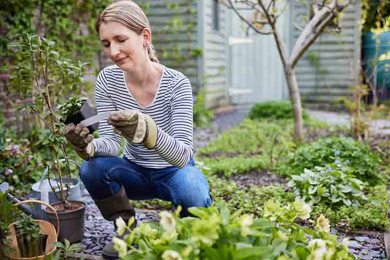 A woman holding a garden plant pot