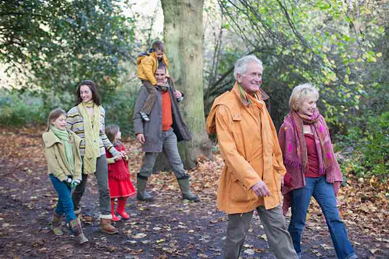 Family walking in the woods